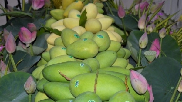 Firms get updates on EU regulations on imported agricultural products, foods: Conference