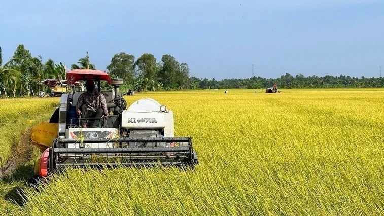 Vietnam seeks collaboration with Australia on sustainable agriculture: Deputy Minister