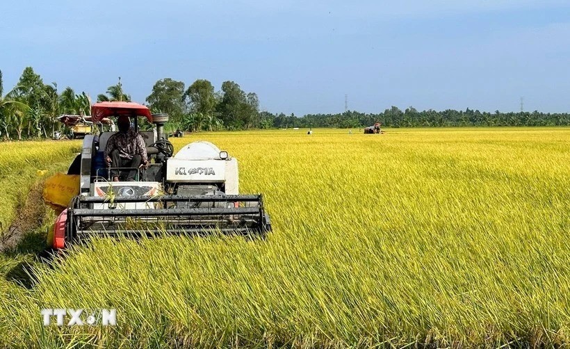 Vietnam seeks collaboration with Australia on sustainable agriculture: Deputy Minister