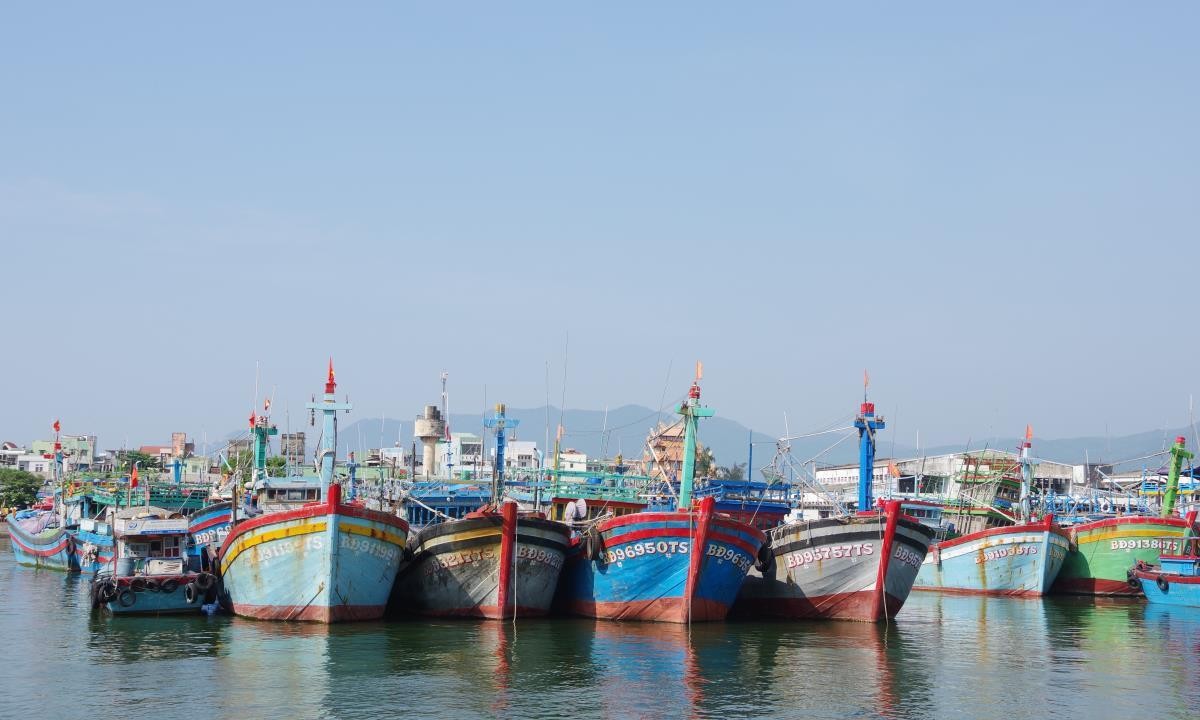 Binh Dinh takes strong actions against IUU fishing: Department of Fisheries