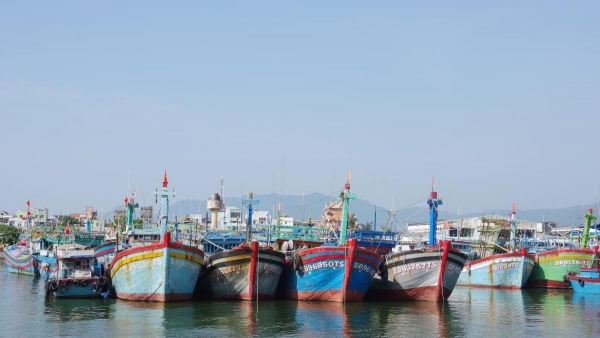 Binh Dinh takes strong actions against IUU fishing: Department of Fisheries