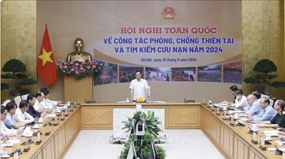 Deputy PM Tran Luu Quang chairs conference to minimise damage from natural disasters