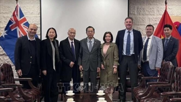 Ambassador Pham Hung Tam received a delegation from the Australia Vietnam Business Council
