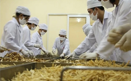 PM orders review of regulations hampering medicinal herb exports PM orders review of regulations hampering medicinal herb exports