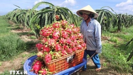 Israel to share on water-saving technology irrigation for sustainable agriculture: Workshop