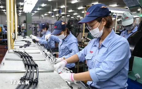 Key economic pillars show positive growth