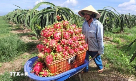 Israel shares experience in water-saving irrigation