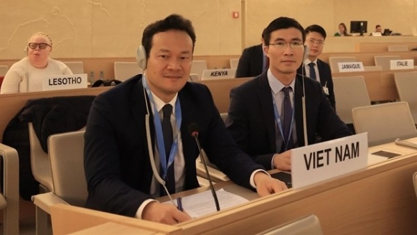 Vietnam always attaches great importance to multilateral mechanisms and forums: Ambassador