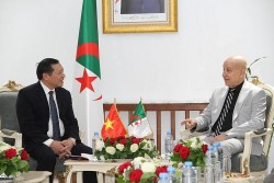 CPV delegation visits Algeria to promote multi-faceted cooperation