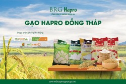 Dong Thap Rice from HAPRO - Proud to be the National Brand