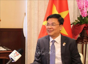 Ambassador underscores Vietnam&rsquo;s attendance at Future of Asia in Japan
