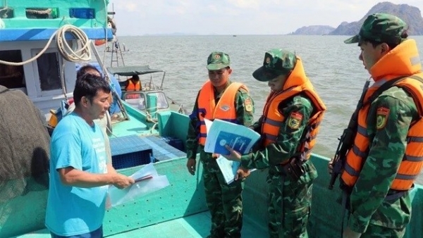 EC reschedules fifth IUU fishing inspection in Vietnam from May to autumn: Official