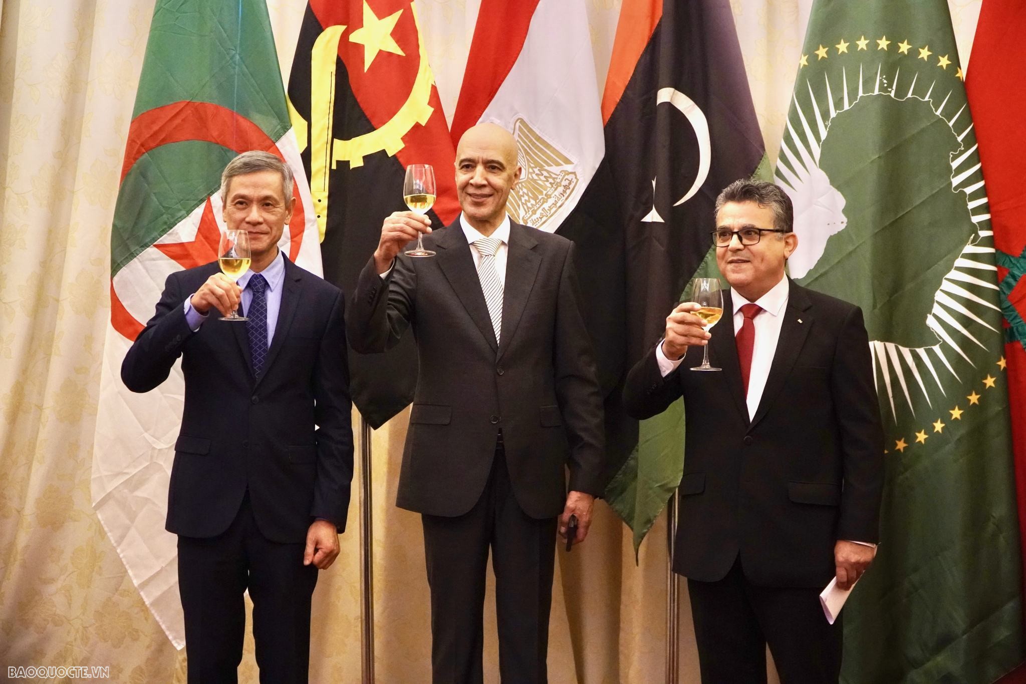 Vietnam hopes to further reinforce ties with Africa: official