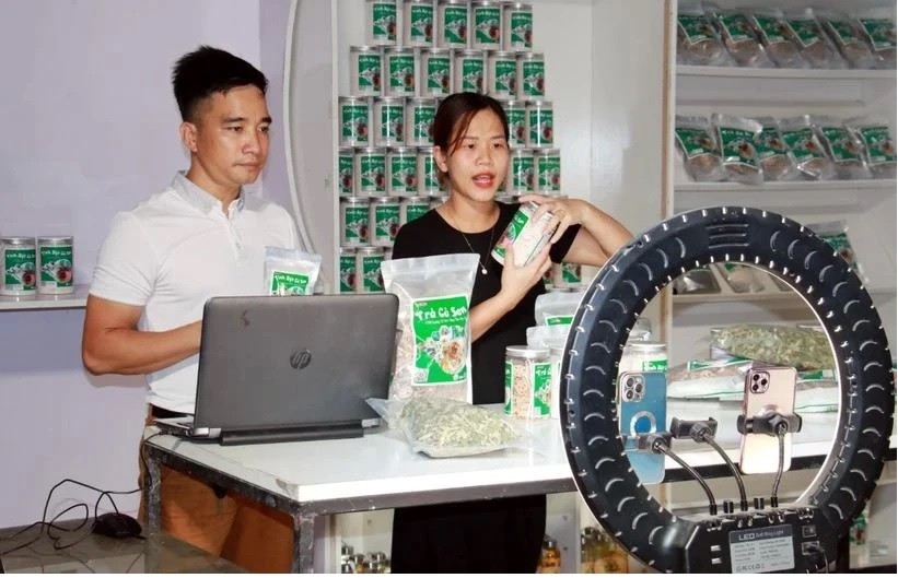 Vietnam, Singapore promote cross-border e-commerce: MOIT Vietnam, Singapore promote cross-border e-commerce: MOIT