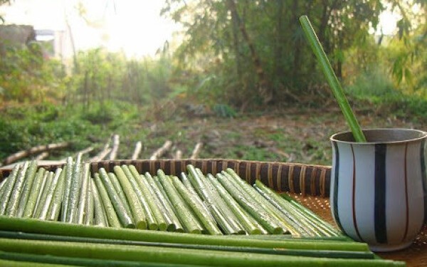 Green productivity brings benefits to enterprises: expert