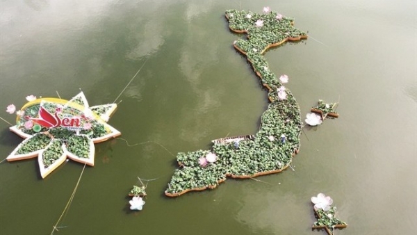 Nation mapped out with lotus pots in Dong Thap