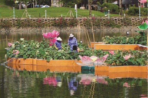 Nation mapped out with lotus pots in Dong Thap