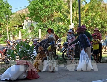 Nearly 590 tonnes of rice allocated to Ninh Thuan province in between-crop period
