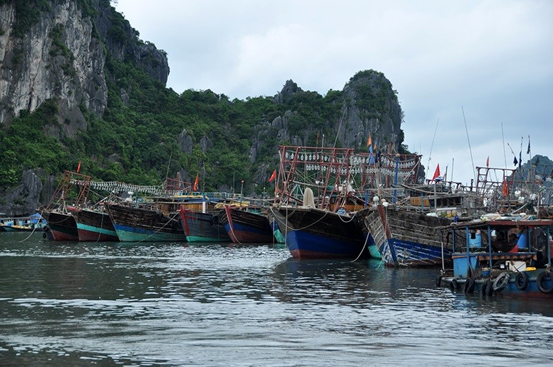 Quang Ninh strives to become northern region’s marine aquaculture hub