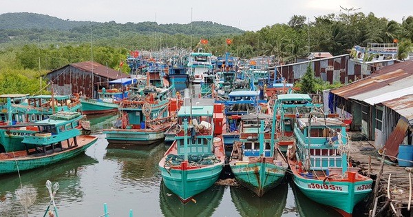 Kien Giang pushing back illegal fishing Kien Giang pushing back illegal fishing