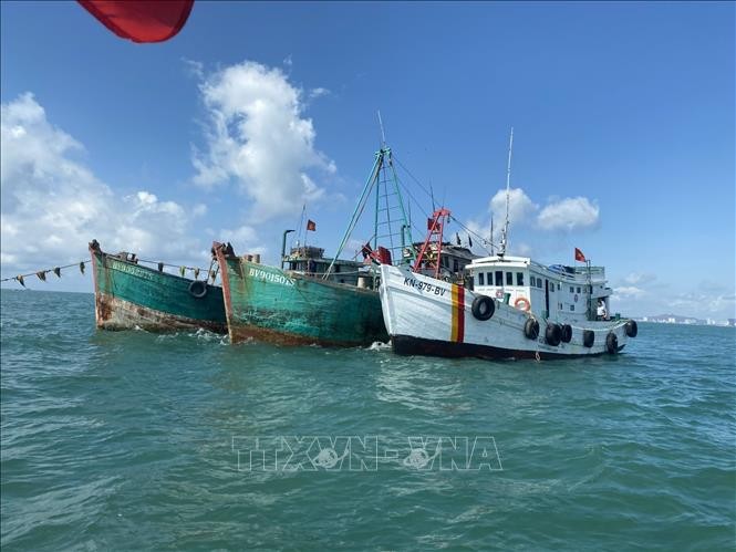 Vietnam, EU enjoy strong cooperation in fisheries, IUU fishing combat: Official Vietnam, EU enjoy strong cooperation in fisheries, IUU fishing combat: Official