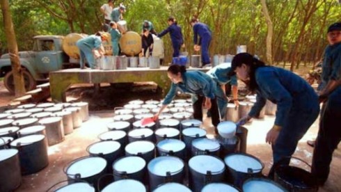 Rubber exports to Sri Lanka raise