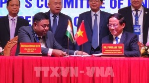 Binh Dinh promotes investment, trade, tourism ties with India