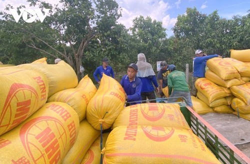 Philippine tax cut opens up new opportunities for Vietnamese rice exports