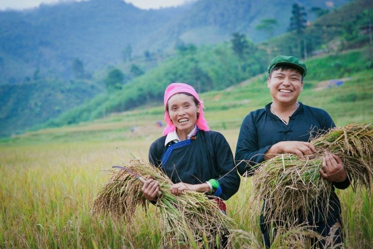 Survey on socio-economic situation of 53 ethnic minorities to start from July 1