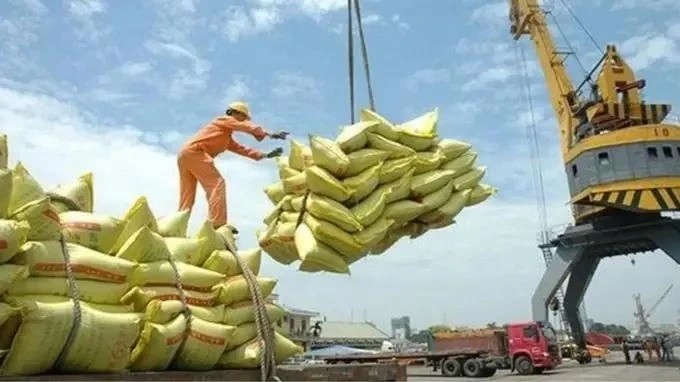 Vietnam earns 2.98 billion USD from rice exports in H1: MARD