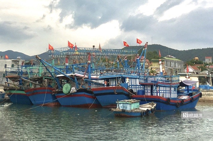 Quang Ninh requests registration of nearly 1,500 fishing vessels Quang Ninh requests registration of nearly 1,500 fishing vessels