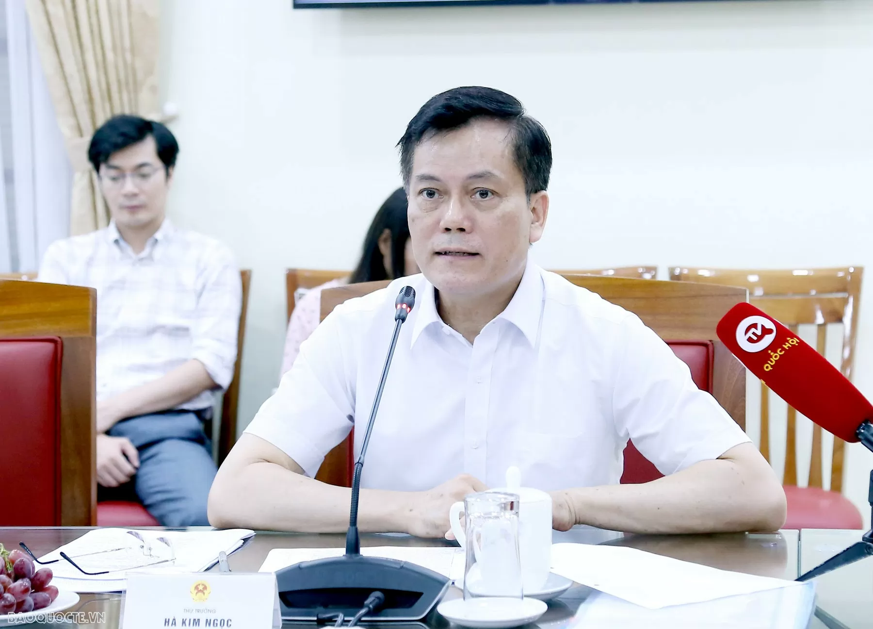 Thứ trưởng Ngoại giao Hà Kim Ngọc, Trưởng Ban Chỉ đạo công tác Ngoại giao văn hóa Thứ trưởng Ngoại giao Hà Kim Ngọc, Trưởng Ban Chỉ đạo công tác Ngoại giao văn hóa