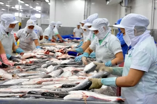 Vietnam's H1 seafood exports hit 4.4 billion USD Vietnam's H1 seafood exports hit 4.4 billion USD