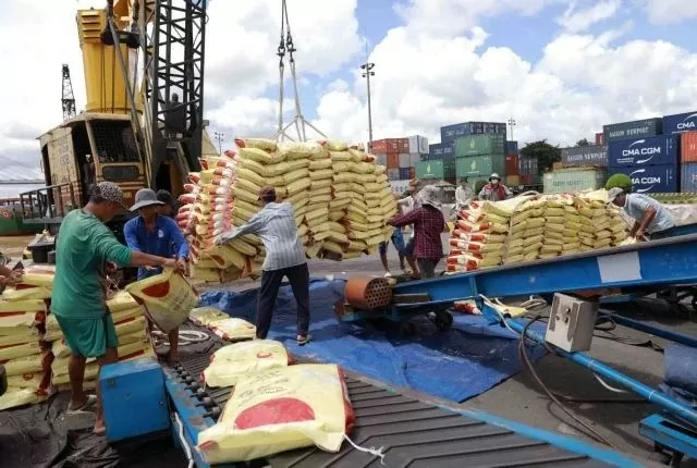 Vietnam, Philippines Agriculture Ministers agree to establish rice industry alliance Vietnam, Philippines Agriculture Ministers agree to establish rice industry alliance