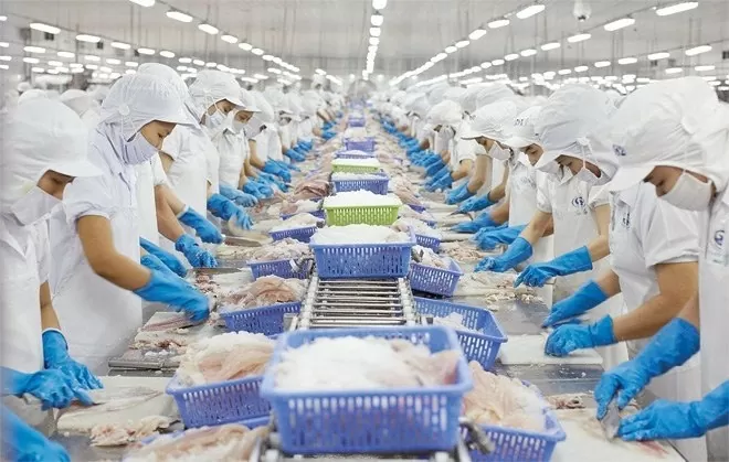 A processing line for export in Vietnam. (Photo: Smart) A processing line for export in Vietnam. (Photo: Smart)