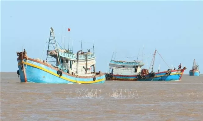 Ben Tre province takes concerted efforts to combat IUU fishing Ben Tre province takes concerted efforts to combat IUU fishing