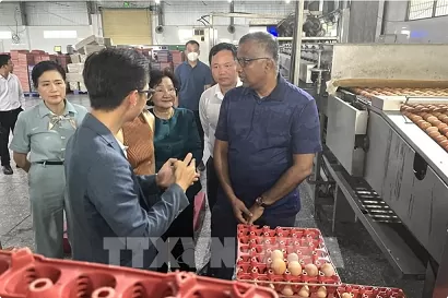 Vietnamese fresh agricultural products have opportunities to enter Singaporean market Vietnamese fresh agricultural products have opportunities to enter Singaporean market