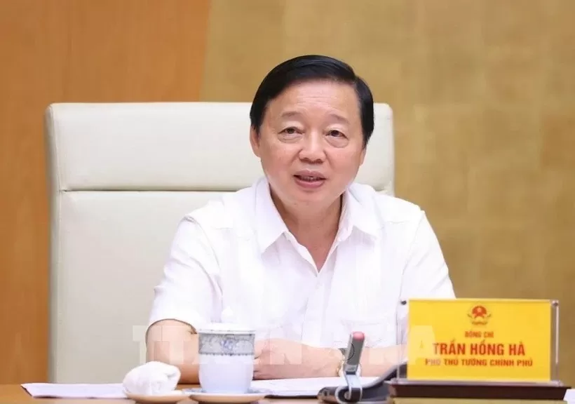 Deputy PM urges establishment of new legal framework for renewable energy Deputy PM urges establishment of new legal framework for renewable energy