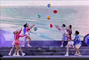 Enjoy Da Nang 2024 festival kicks off Enjoy Da Nang 2024 festival kicks off