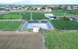 RoK promotes cooperation with Vietnam in smart agriculture RoK promotes cooperation with Vietnam in smart agriculture