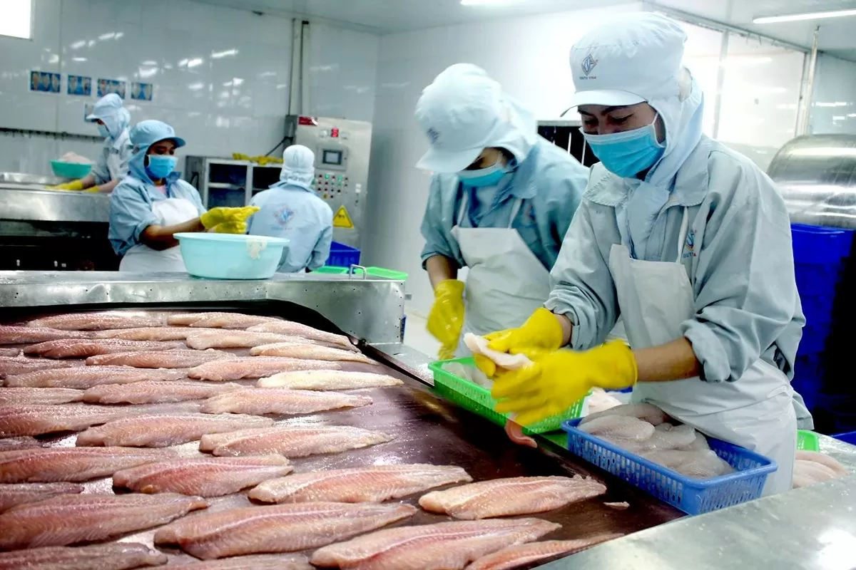 Wave of momentum to float Vietnam's seafood exports to 10–15% growth Wave of momentum to float Vietnam's seafood exports to 10–15% growth
