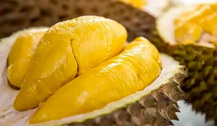 Insiders optimistic about durian export to China Insiders optimistic about durian export to China