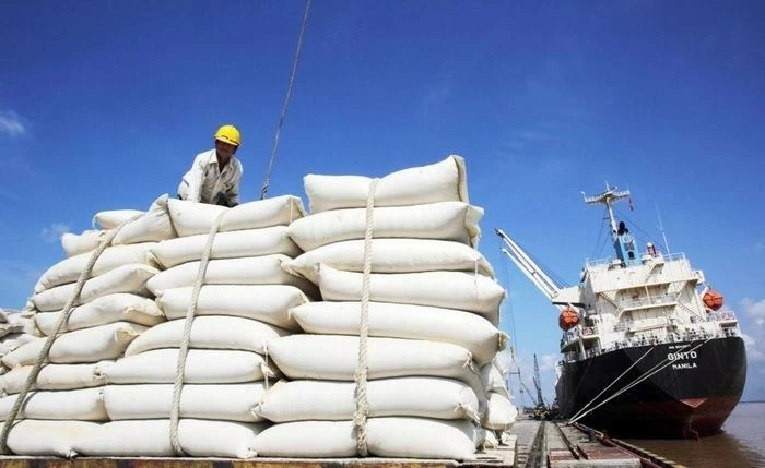 Rice exports to set record turnover of 5 billion USD in 2024 Rice exports to set record turnover of 5 billion USD in 2024