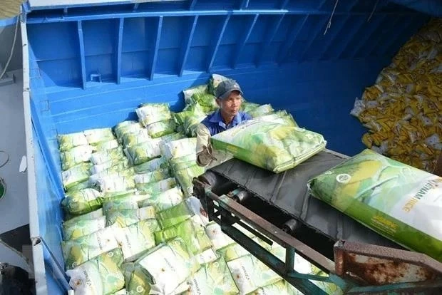 Vietnam maintains top position among Singapore’s rice supplier: Trade Office Vietnam maintains top position among Singapore’s rice supplier: Trade Office