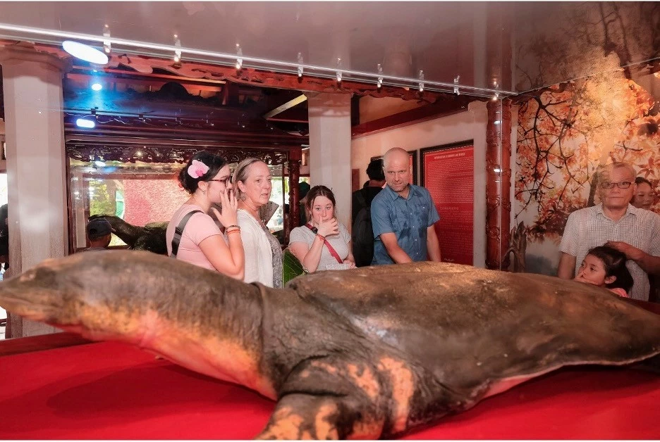 Assoc. Prof. Shannon Gramse, together with his wife Professor Sarah Kirk and their daughter, visited Ngoc Son Temple to see the revered turtle specimen. Assoc. Prof. Shannon Gramse, together with his wife Professor Sarah Kirk and their daughter, visited Ngoc Son Temple to see the revered turtle specimen.