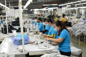 Apparel firms enjoy better business on rising orders Apparel firms enjoy better business on rising orders