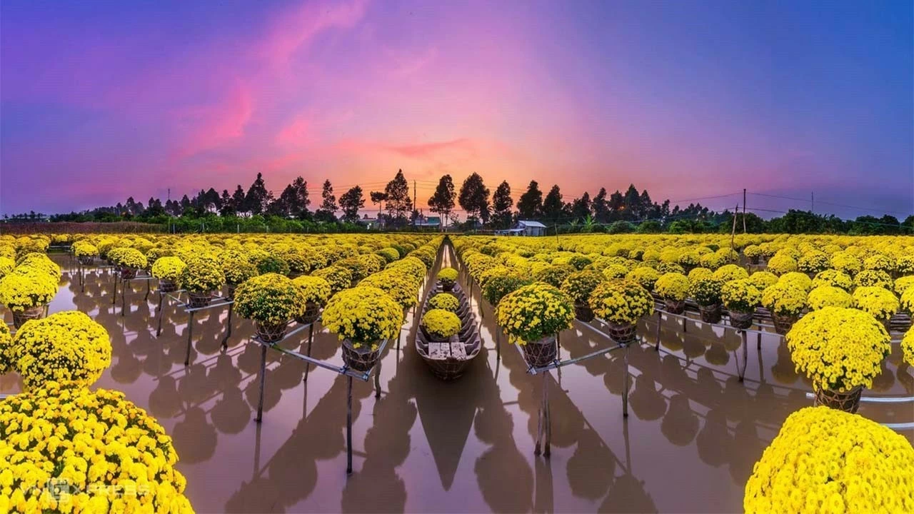 Vương quốc Cây- Hoa khoe sắc Vương quốc Cây- Hoa khoe sắc
