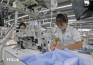 EVFTA shows European investors' confidence in Vietnam: EuroCham EVFTA shows European investors' confidence in Vietnam: EuroCham