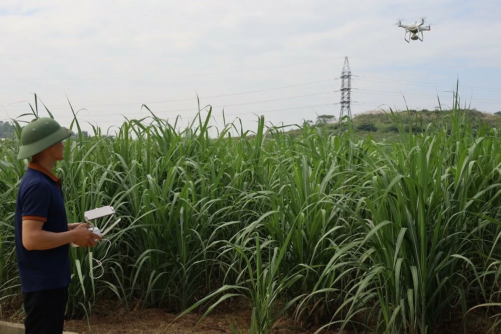 Australia supports sustainable agriculture innovations in Vietnam Australia supports sustainable agriculture innovations in Vietnam