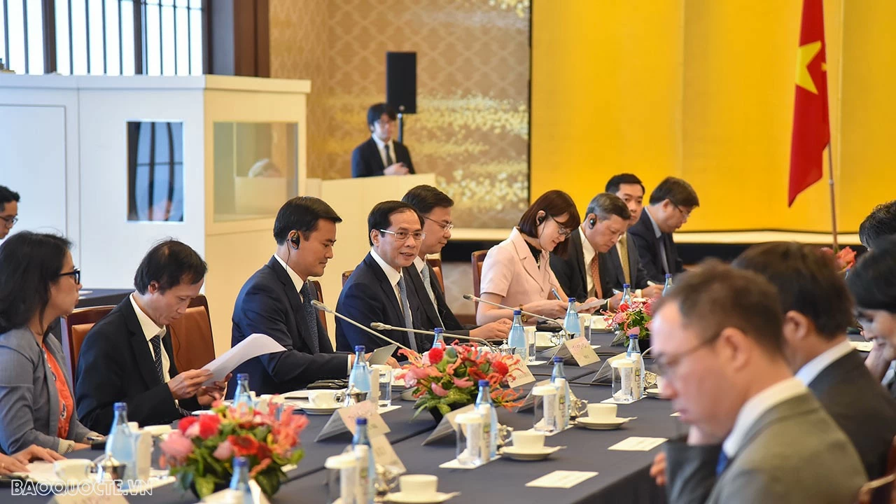 FM Bui Thanh Son held talks, meeting Japanese officials in Tokyo FM Bui Thanh Son held talks, meeting Japanese officials in Tokyo